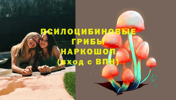 ГАЛЛЮЦИНОГЕННЫЕ ГРИБЫ Алексин