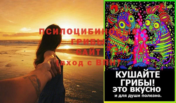 ГАЛЛЮЦИНОГЕННЫЕ ГРИБЫ Алексин